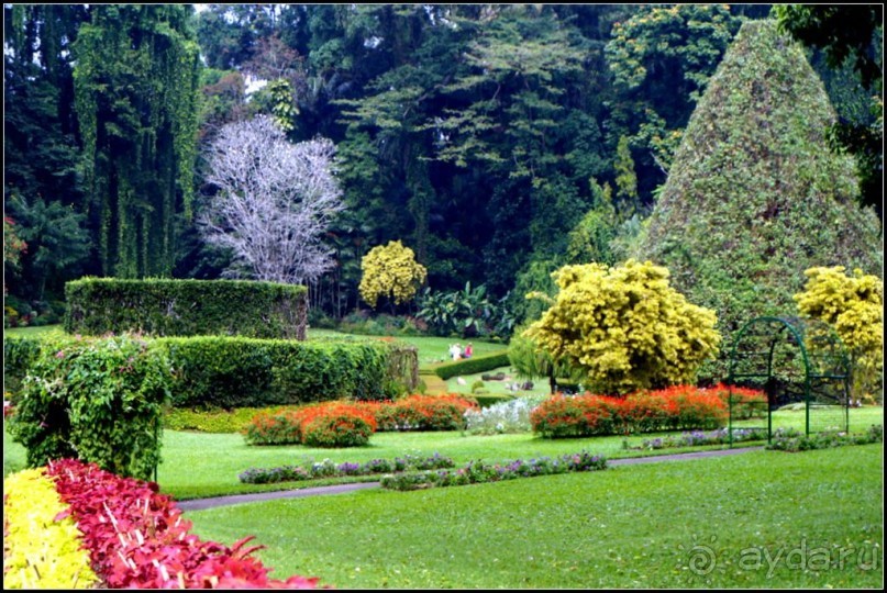 Сад -  мечта  королей...