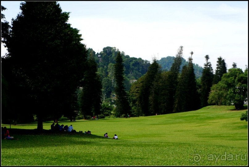 Сад -  мечта  королей...