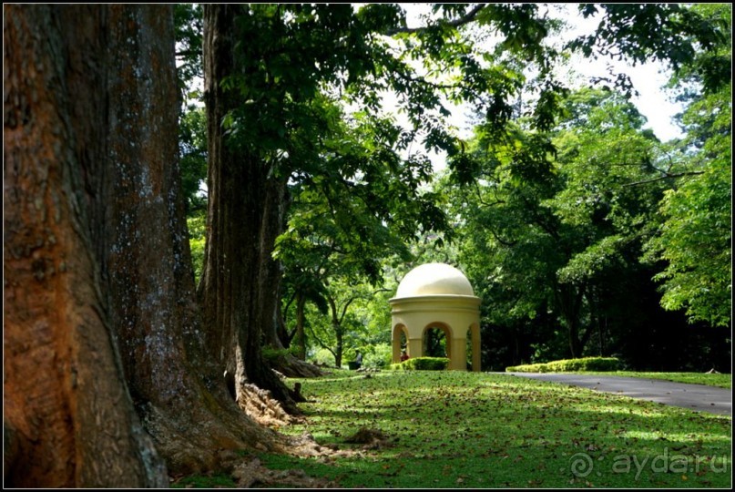 Сад -  мечта  королей...