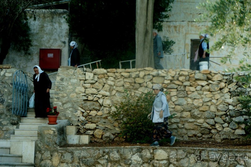 Альбом отзыва "Иерусалимский  Горненский  монастырь в Палестинской  автономии."
