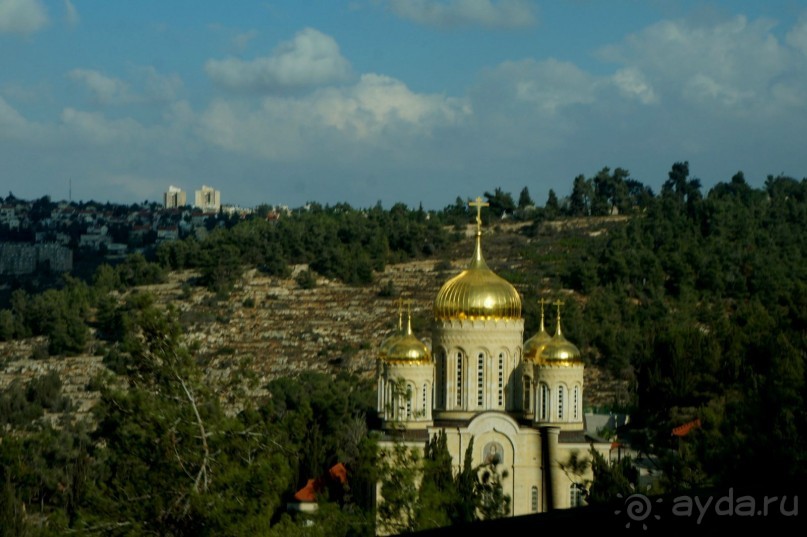 Альбом отзыва "Иерусалимский  Горненский  монастырь в Палестинской  автономии."