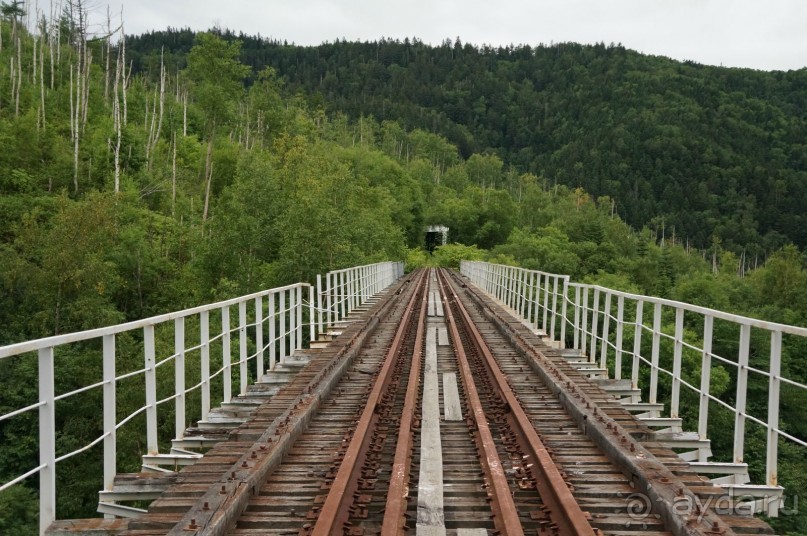 Вид    с    моста.