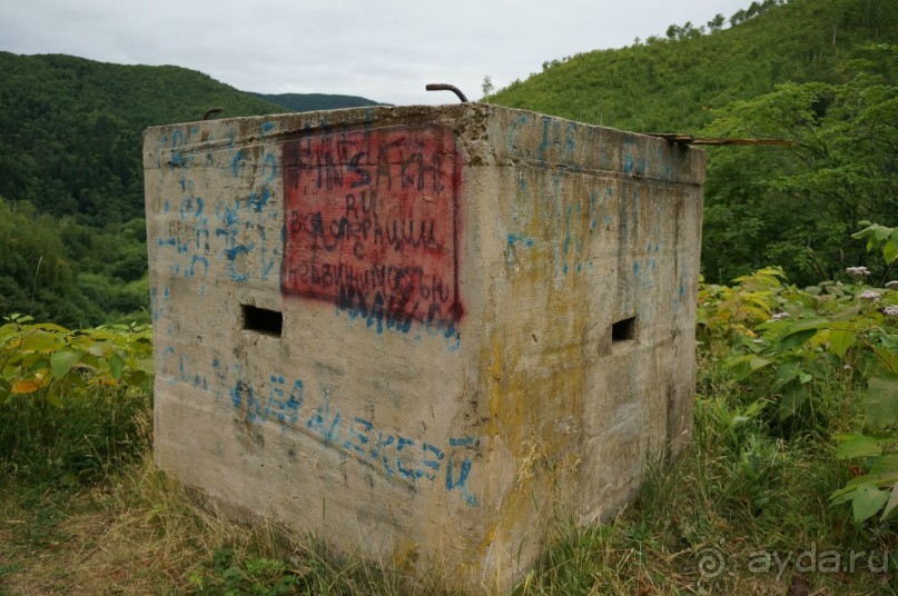 Вид    с   моста.