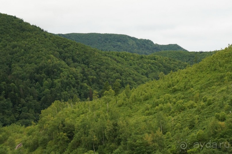 Дзот,   оставшийся    после    войны.