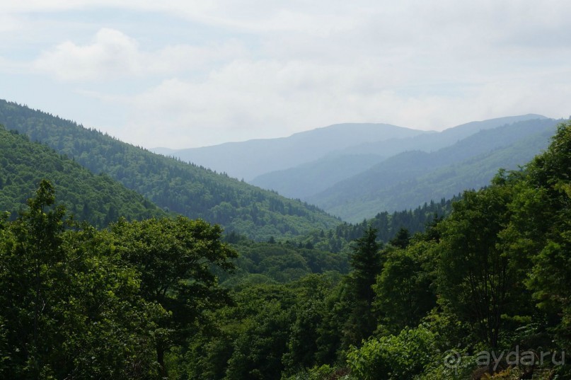 " Чертов   мост".  Прошлое   и   настоящее.