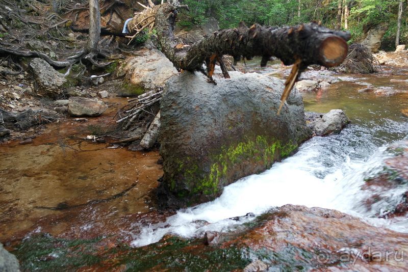 Там за туманами берег наш родной... о. Шикотан.