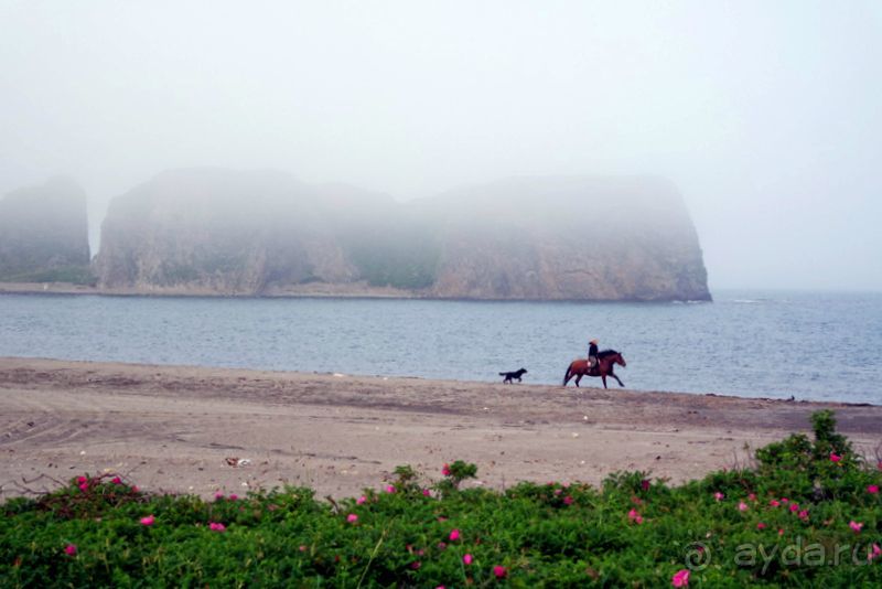 Там за туманами берег наш родной... о. Шикотан.