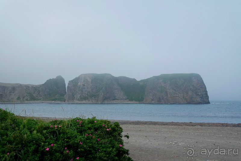 Там за туманами берег наш родной... о. Шикотан.