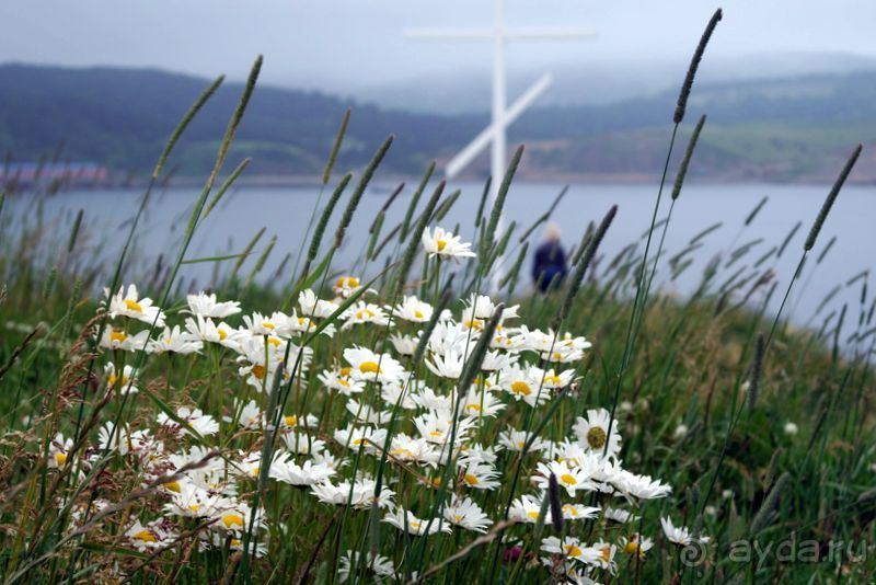 Там за туманами берег наш родной... о. Шикотан.