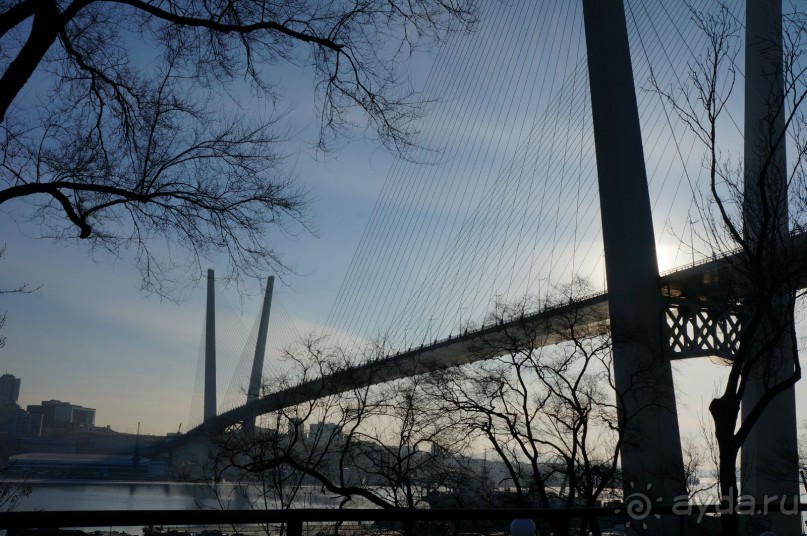 Вернулась    я    на   Родину...