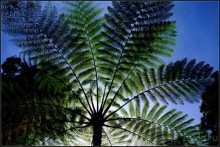 Потухший   вулкан   Патуха.  Любителям   отдыха.