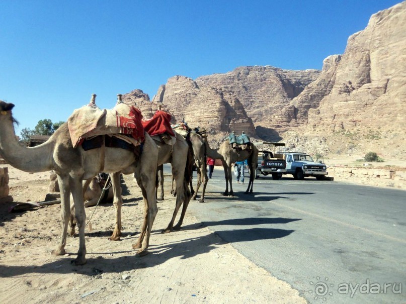 Альбом отзыва "Лунный,   марсианский   ......"