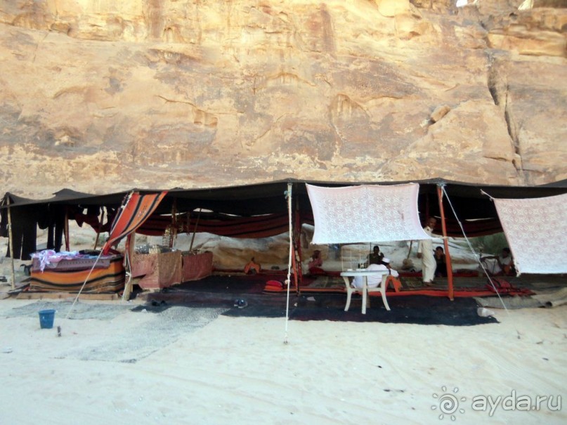 Жизнь    бедуинов.