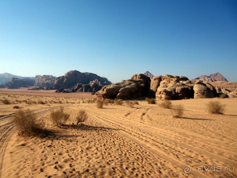 Альбом отзыва "Лунный,   марсианский   ......"