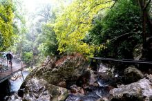 На джипах в каньон Саподеро.