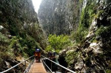 На джипах в каньон Саподеро.