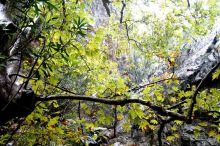 На джипах в каньон Саподеро.