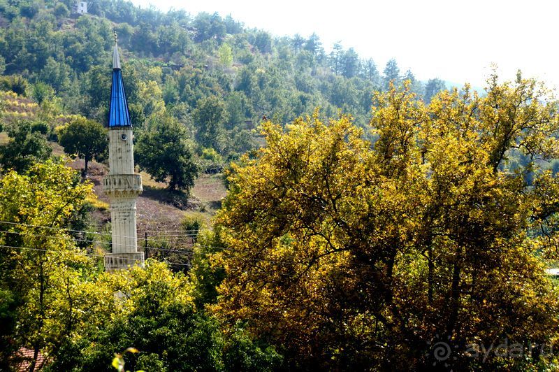 На джипах в каньон Саподеро.