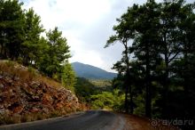 На джипах в каньон Саподеро.