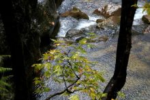 На джипах в каньон Саподеро.