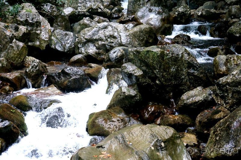 На джипах в каньон Саподеро.