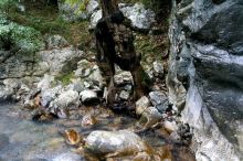 На джипах в каньон Саподеро.