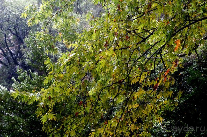 На джипах в каньон Саподеро.