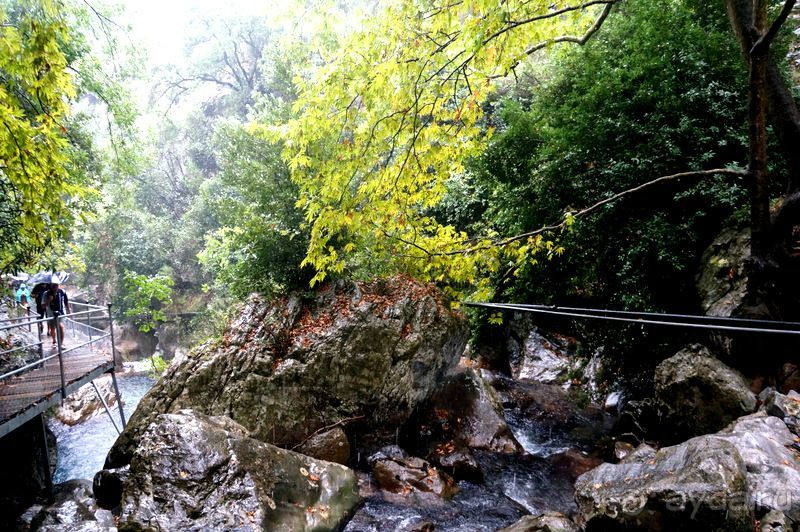 На джипах в каньон Саподеро.