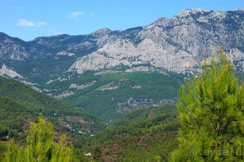 На джипах в каньон Саподеро.