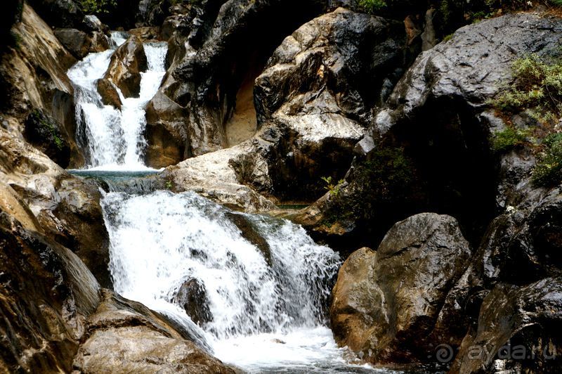 На джипах в каньон Саподеро.
