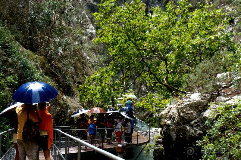 На джипах в каньон Саподеро.