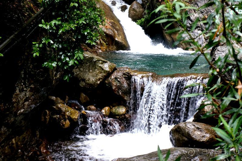 На джипах в каньон Саподеро.