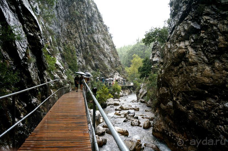 На джипах в каньон Саподеро.