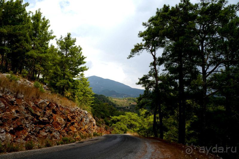 На джипах в каньон Саподеро.