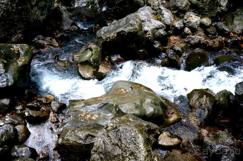 На джипах в каньон Саподеро.