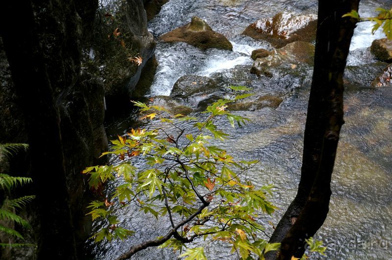 На джипах в каньон Саподеро.