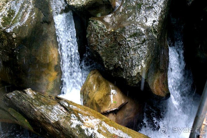 На джипах в каньон Саподеро.