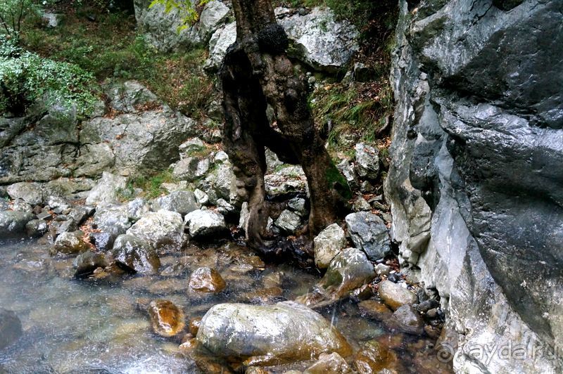 На джипах в каньон Саподеро.
