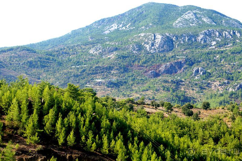 На джипах в каньон Саподеро.