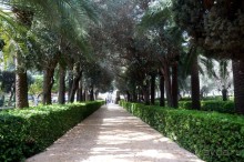 Альбом отзыва "Бахайские сады Хайфы."