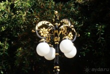 Альбом отзыва "Бахайские сады Хайфы."