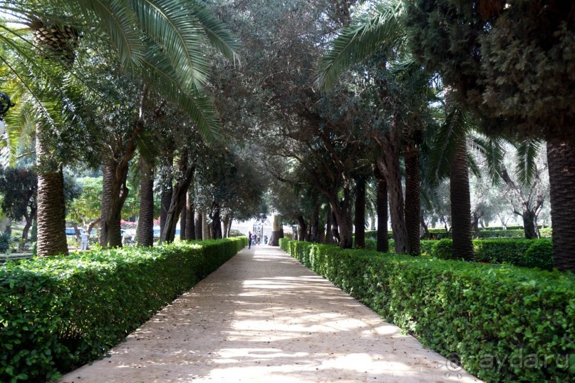 Бахайские сады Хайфы.