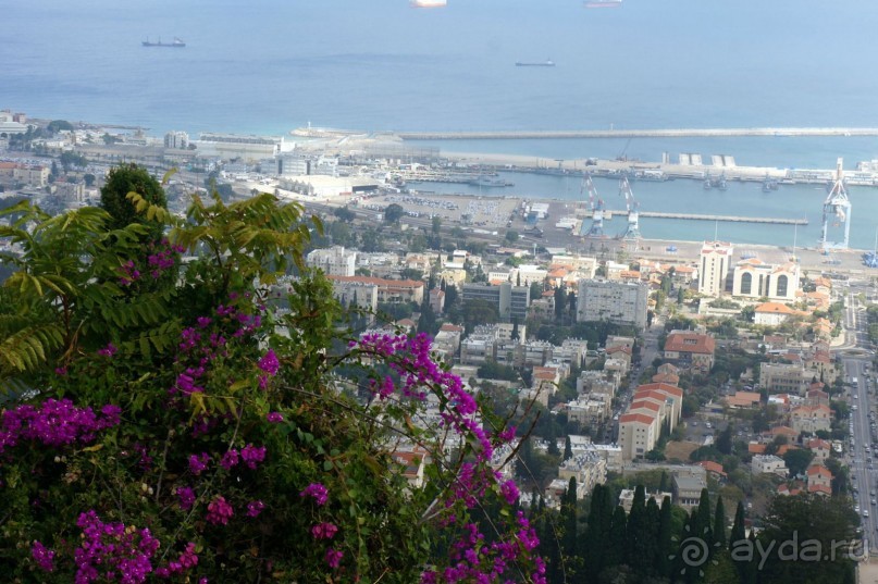 Бахайские сады Хайфы.