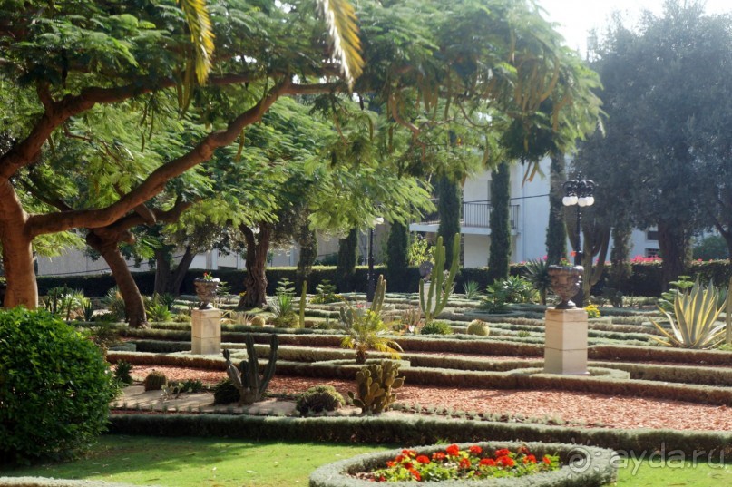 Альбом отзыва "Бахайские сады Хайфы."
