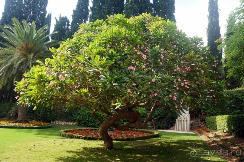 Бахайские сады Хайфы.