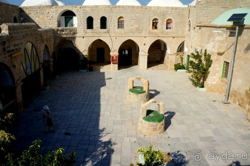 Сокровища  Иудейской пустыни.