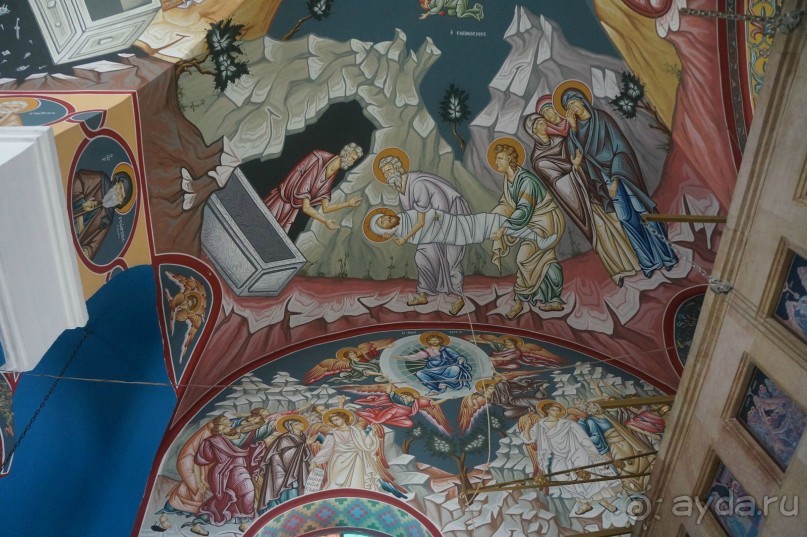 Сокровища  Иудейской пустыни.