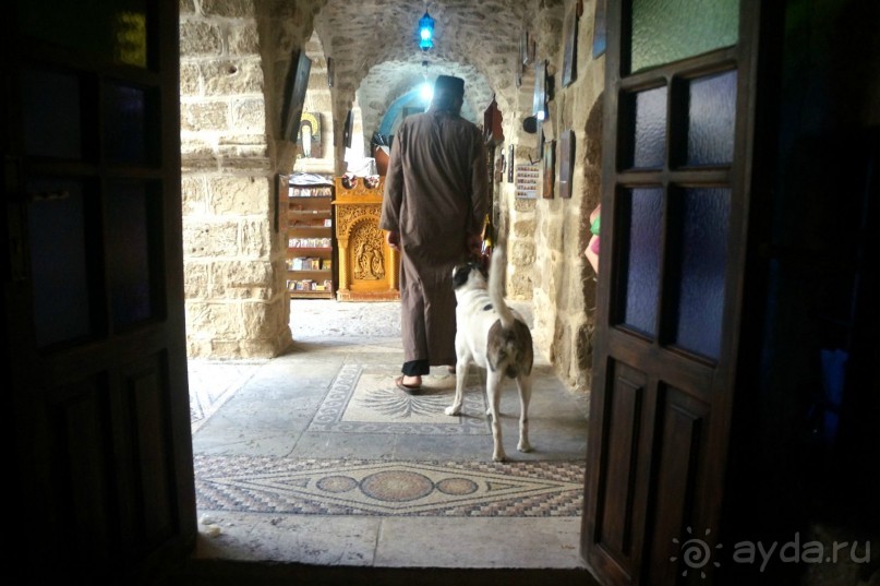 Сокровища  Иудейской пустыни.