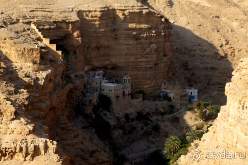 Сокровища  Иудейской пустыни.