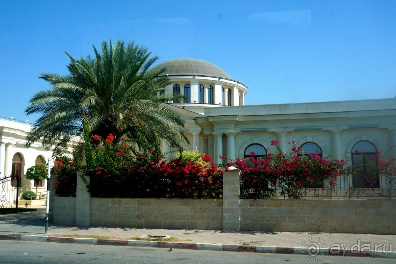 Сокровища  Иудейской пустыни.